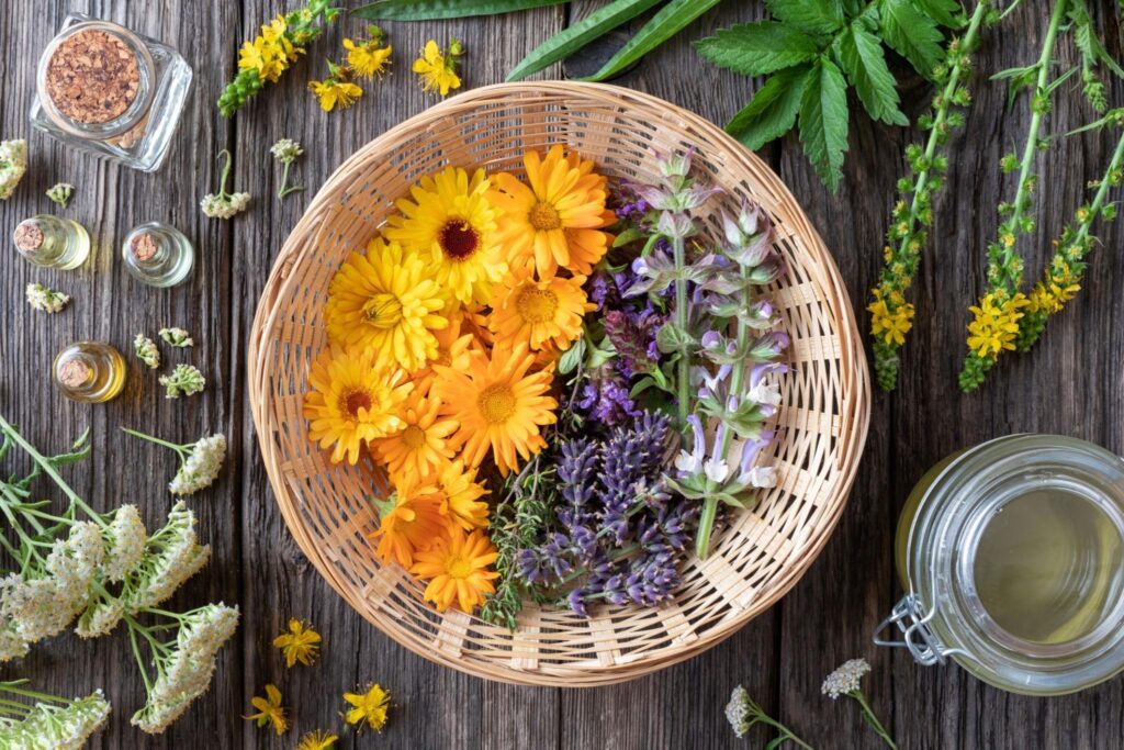 Natural anti-inflammatory skincare ingredients including ghee and botanicals on flat lay