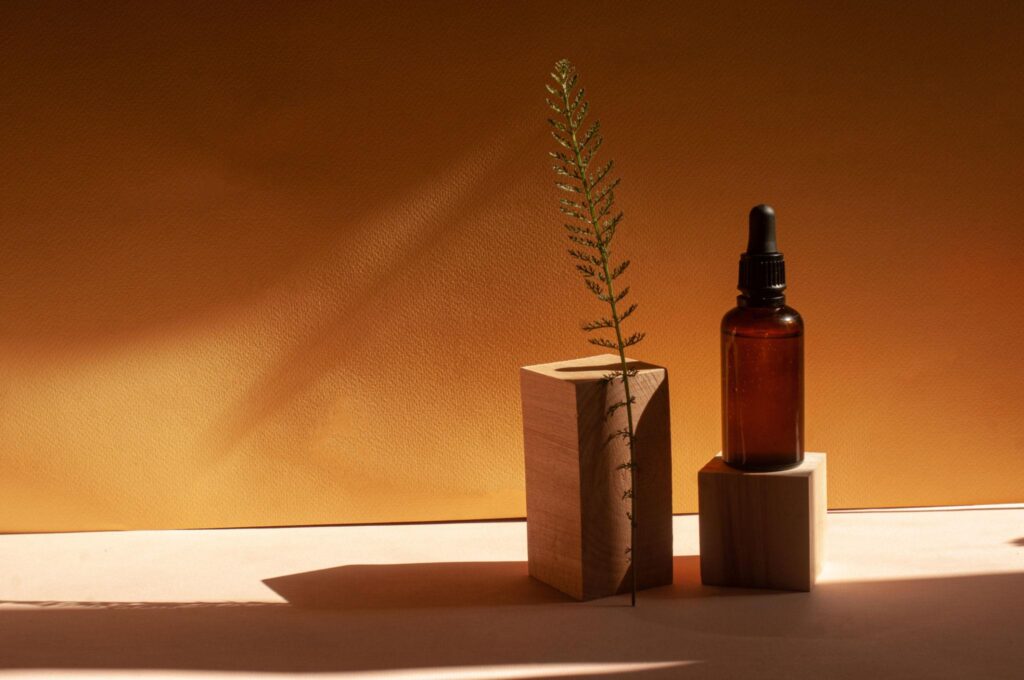 Natural skincare products on morning light surface for ghee vs coconut oil comparison