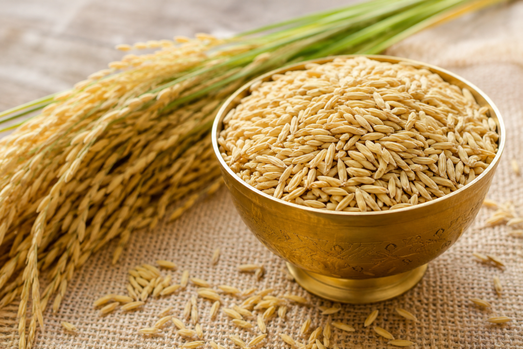 Golden rice grains representing the source of rice bran oil for hair shine and strength